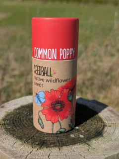 Common Poppy Seedballs (20 balls)